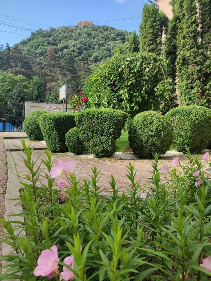 Hotel Casa Alina Deva Esterno foto